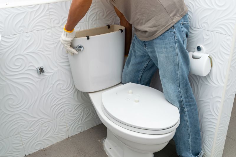 Toilet Snaking detail