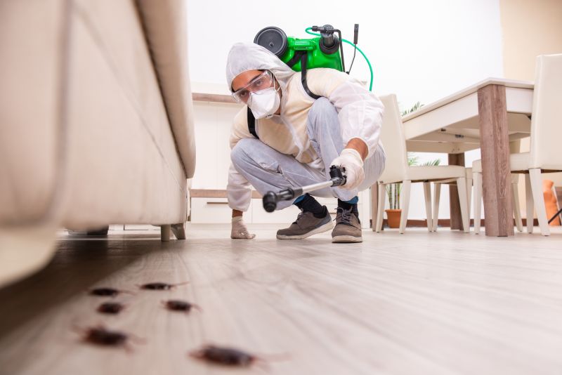 Red Ant Extermination